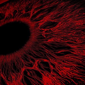 美女全身光溜溜(无马塞克)
